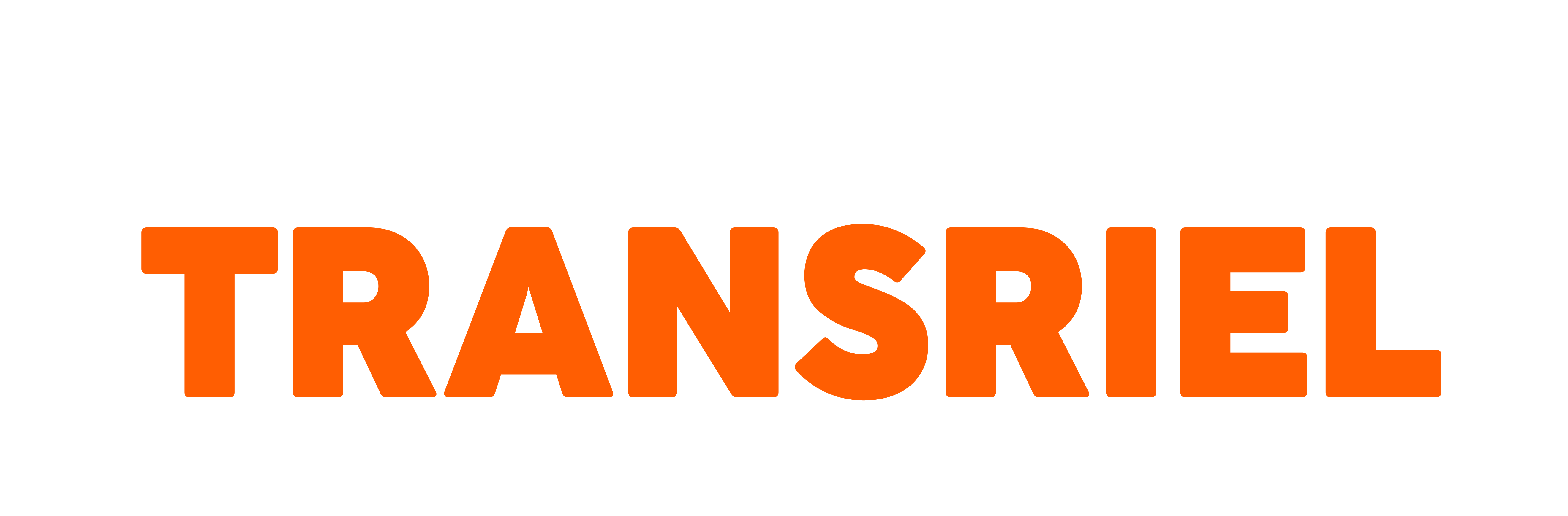 RIEL RENT A CAR — Transporte e locação de veículos